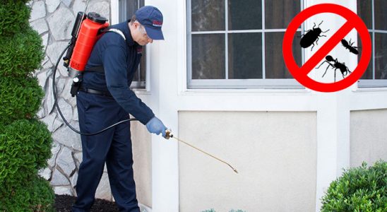 Yurdoğlu Karınca İlaçlama böcek ilaçlama ve haşere kontrolü — ilaclama-tr.com